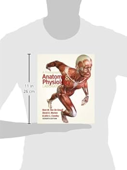 その他 Liquid Anatomy [CD] Antique 1875 Rare French Medical Human Anatomy Diagram Pop